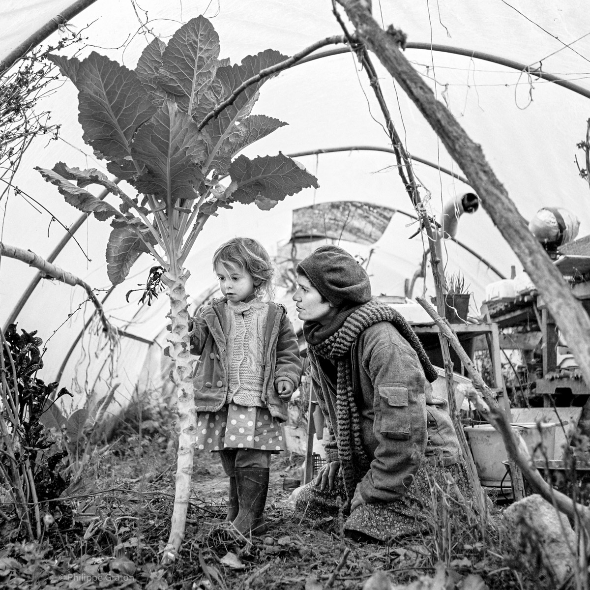 ZAD, Notre-Dame des Landes, France, 2014.