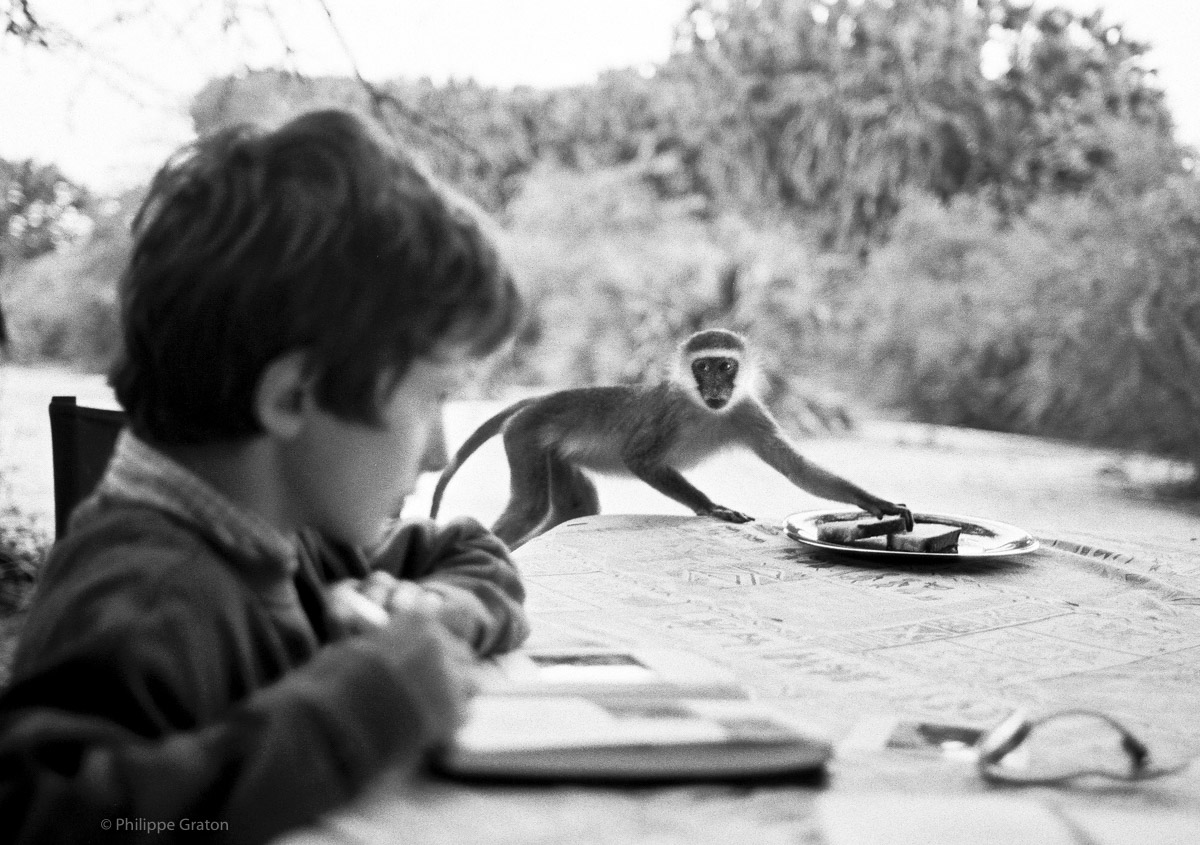 Arthur and the thief monkey, Kenya, 2006.