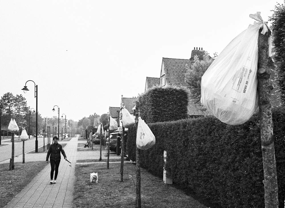 De Haan, Belgium, 2019.